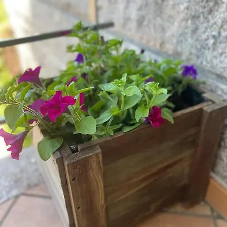 Σπίτι διακοπών Charneca, Jardin Y Mar Βίγκο