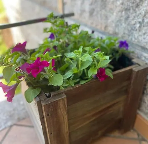 Nyaraló Charneca, Jardin Y Mar Vigo